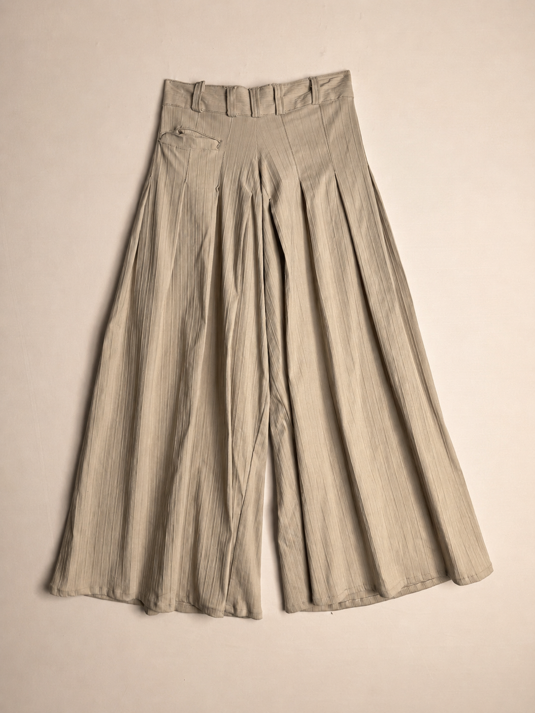 PLEATED PANTS